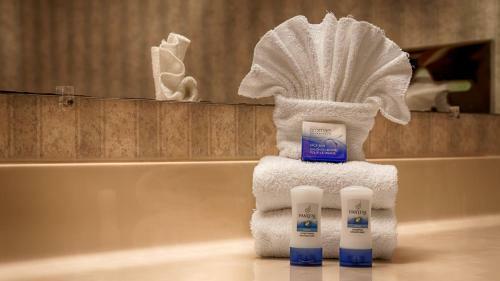 Hotel Best Western Plus Georgetown Inn & Suites