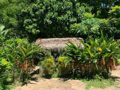 Ban Hieu Garden Lodge