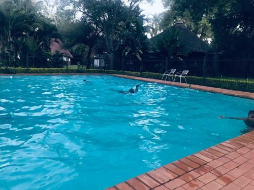 Hotel Molalatau Lodge & Campsites