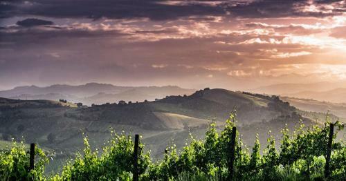 Agroturismo Colle Del Giglio