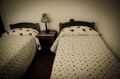 Apartamento Agriturismo Il Catrino