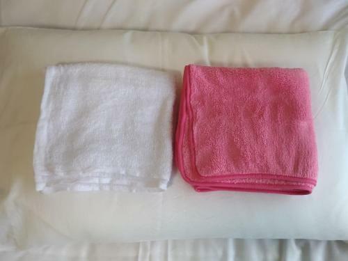 Hostal Cat Cafe & Stay Cultus's Home