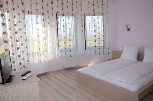 Hostal Pensiunea Laleaua Pestrita