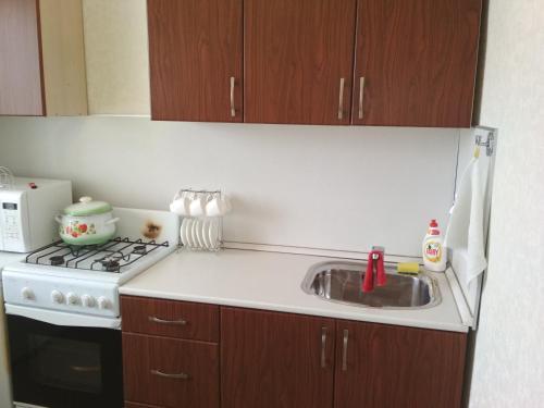 Apartment On Michurina 23