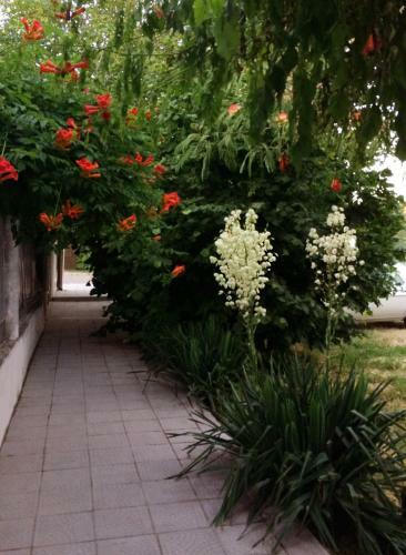 Hostal Tatiana Guest House