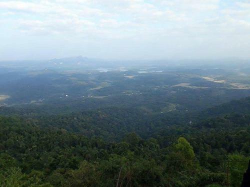 Evergreen Tent Stay & Trekking