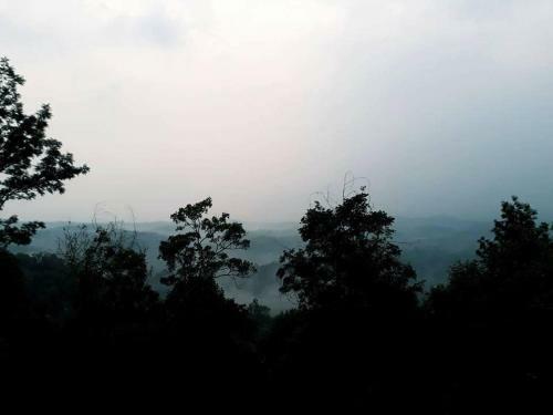 Evergreen Tent Stay & Trekking