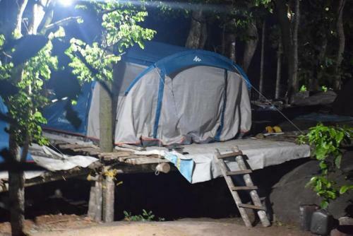 Evergreen Tent Stay & Trekking
