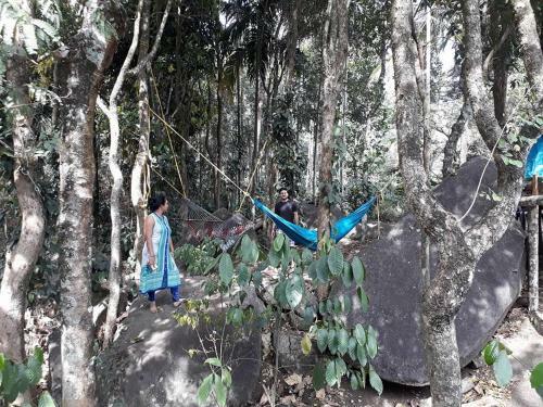 Evergreen Tent Stay & Trekking