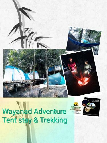 Evergreen Tent Stay & Trekking