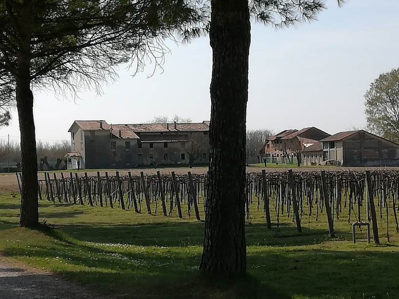 Agroturismo Agriturismo Ai Due Leoni