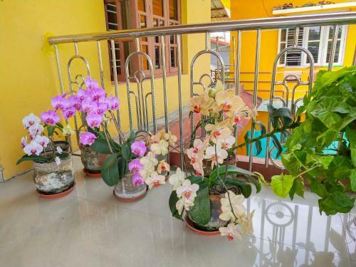 Comfy Homestay, Coorg, Kodagu