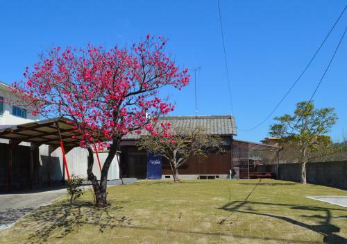 Hostal Guest House Aga-la
