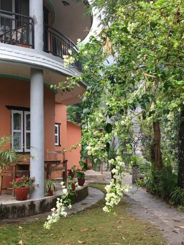 Hotel Hidden Paradise Guest House