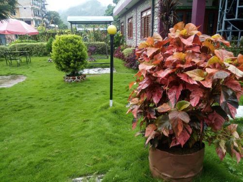 Hostal Galaxy Inn Guest House