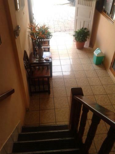 Hotel Posada De La Jungla