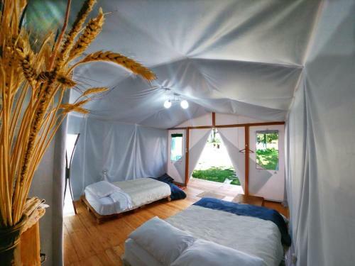 Albergue Samay Glamping Airport