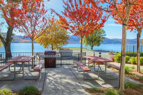 Hotel Clear Lake Cottages & Marina