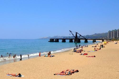 Apartamento Departamento Vi�a Del Mar