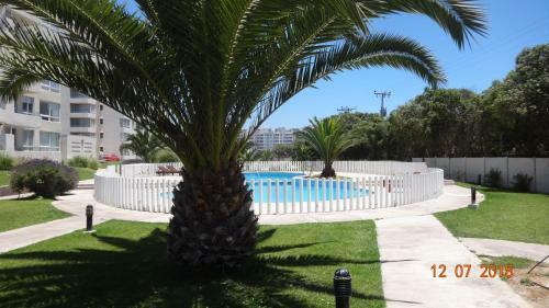 Apartamento Departamento Avenida Pac�fico
