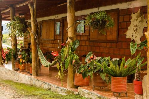 Lodge Caba�as Y Camping Colinas De San Diego