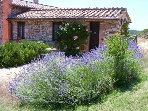 Agroturismo Podere Costa Romana