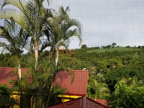 Bed & Breakfast La Terraza Guest House