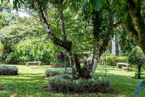 Bed & Breakfast La Terraza Guest House