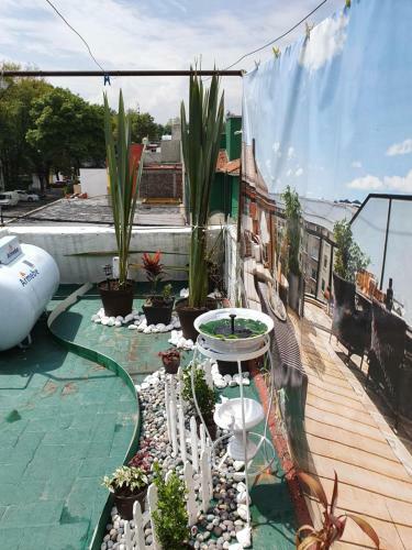 Hostal Estudio Espartaco