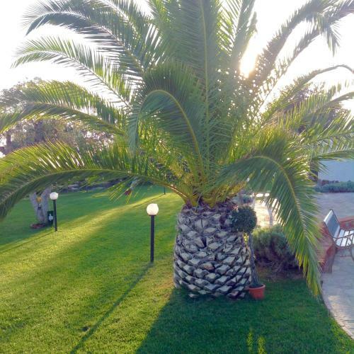 Hostal Country House Villa Di L'abbiu