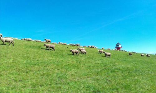 Apartamento Ferienwohnung Werner