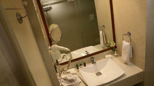 Hotel Gemini Continental, Hazratganj