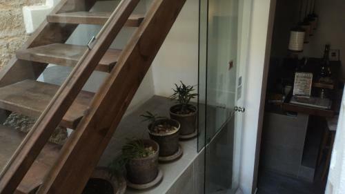 Apartamento Domus Studios