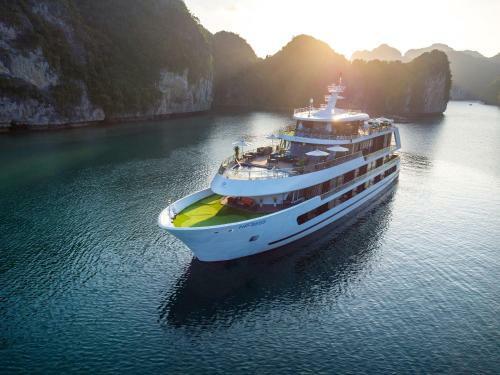 Stellar Of The Seas Cruise