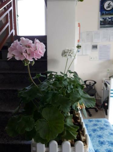 Bed & Breakfast Cam Ly Homestay