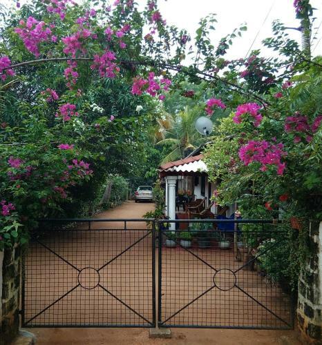 Lake House Homestay