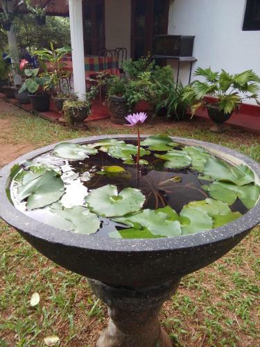Lake House Homestay