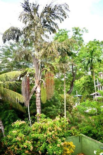 Hostal Villa Nature Park