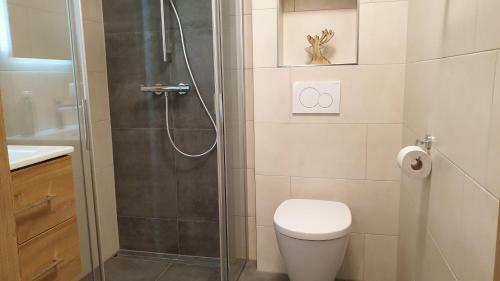 Apartamento Alpen Appartements Viehhofen