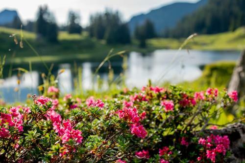 Apartamento Lechblick Appartement