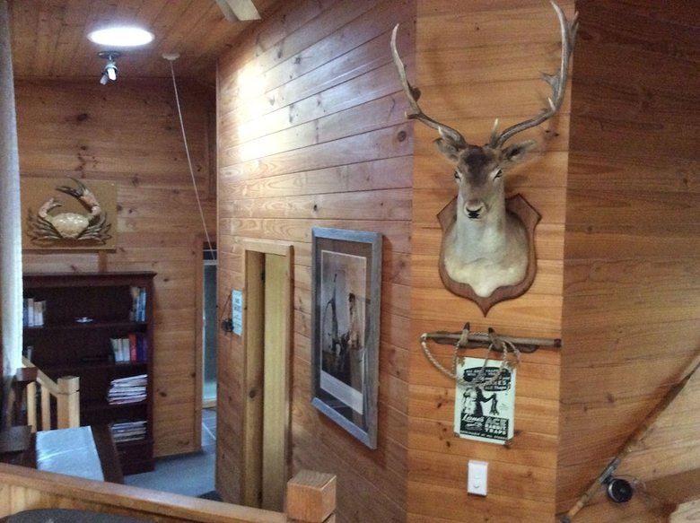 Mole Creek Cabins