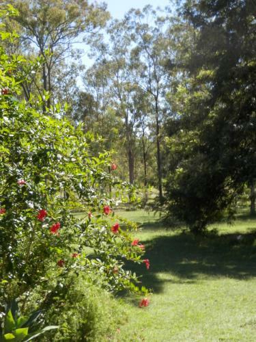 Bed & Breakfast Wondai Hideaway Apartment
