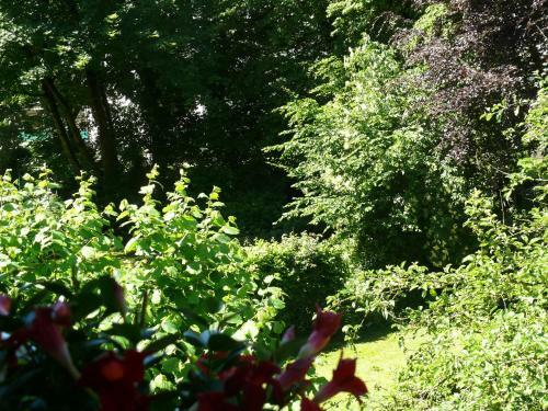 Bed & Breakfast Chez Olivia Et Pascal