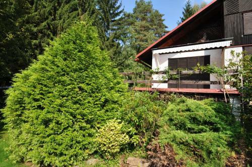 Holiday Home In Starobucke Debrne 1307