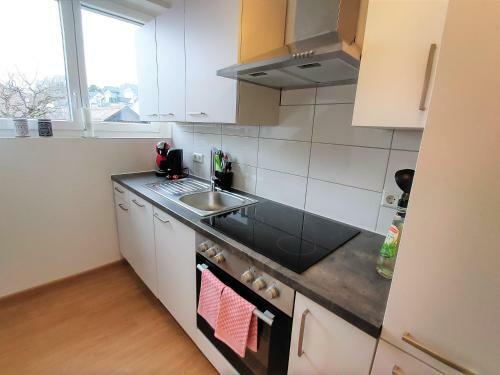 Bodensee Apartment Allensbach Fewo 3