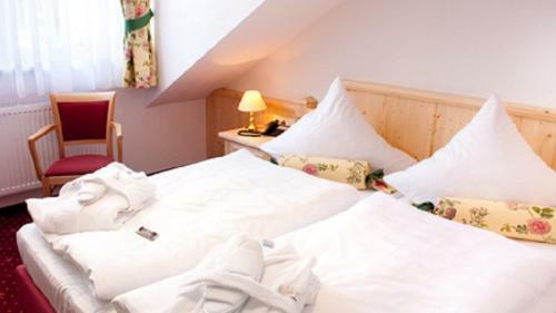 Elbhotel Bad Schandau