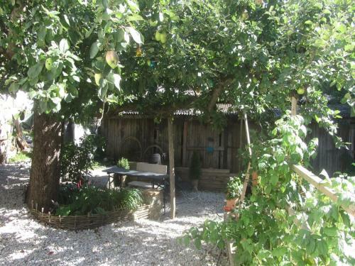 Apartamento Ferienwohnung Apfelbaum
