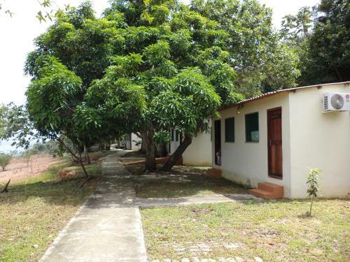 Lodge Anaconda Amazon Island
