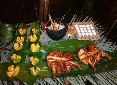 Lodge Anaconda Amazon Island