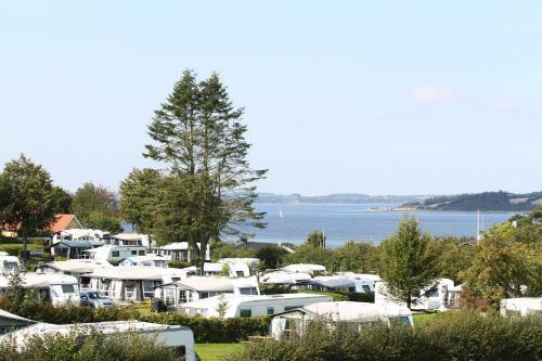 Hjarb�k Fjord Camping & Cottages